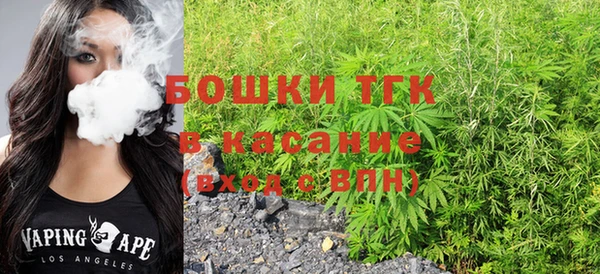шишки Аркадак