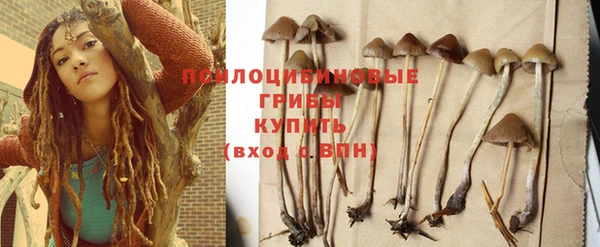 шишки Аркадак