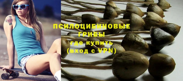 шишки Аркадак