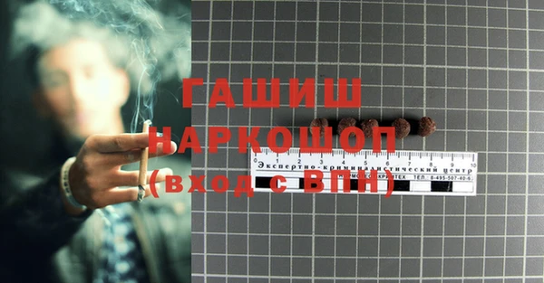 шишки Аркадак