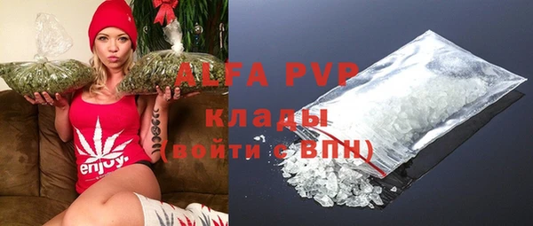 шишки Аркадак
