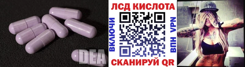 это телеграм кракен ТОР Правдинск Лсд 25 экстази ecstasy