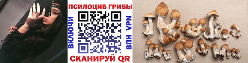площадка Telegram Правдинск Псилоцибиновые грибы MAGIC MUSHROOMS